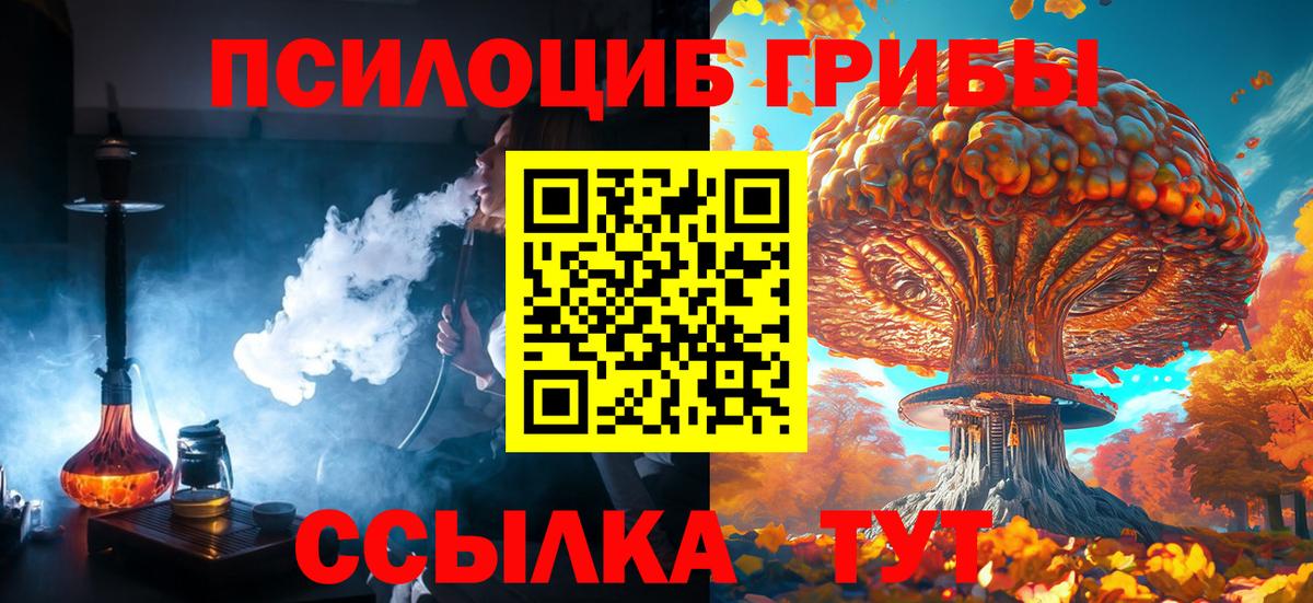 Галлюциногенные грибы Cubensis  Вход с VPN  Шуя 