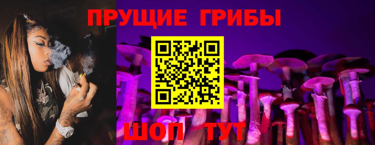 Галлюциногенные грибы Psilocybine cubensis Шуя